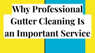 Why Professional Gutter Cleaning Is an Important Service