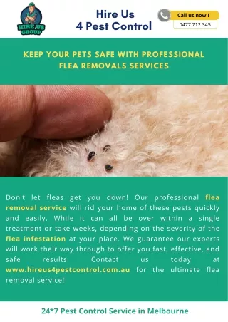 Keep Your Pets Safe With Professional Flea Removals Services
