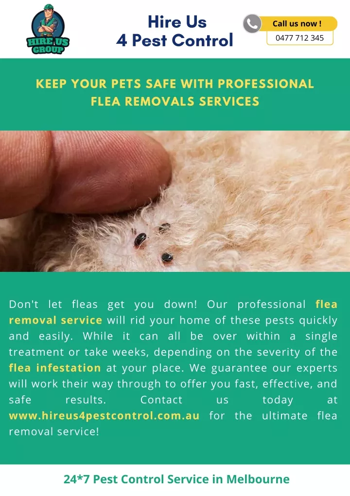 hire us 4 pest control