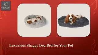 Luxurious Shaggy Dog Bed for Your Pet