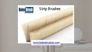 s t r i p b r u s h e s