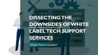 dissecting the downsides of white label tech support services