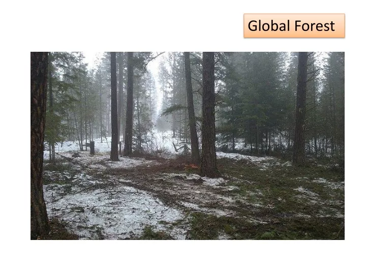 global forest