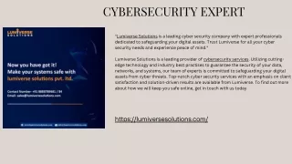 cybersecurity expert