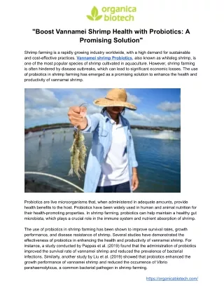 Probiotics For Vannamei Shrimp Culture and Shrimp Farming