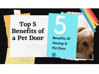 Top 5 Benefits of a Pet Door