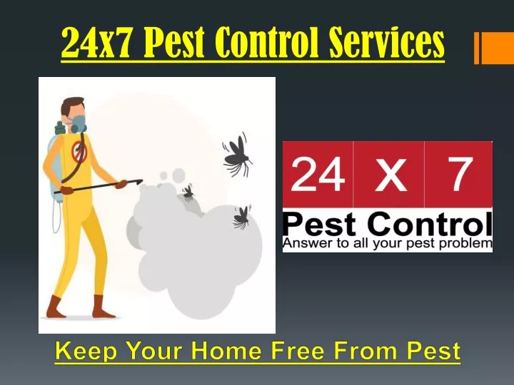 24x7 pest control services