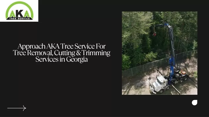 approach aka tree service for tree removal