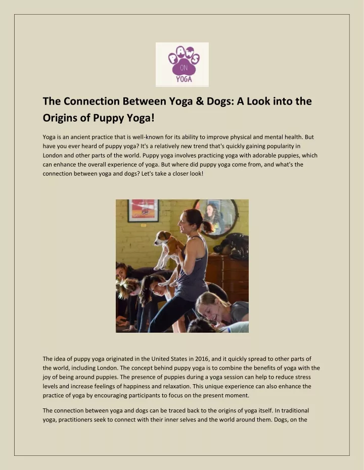 the connection between yoga dogs a look into