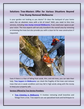 Solutions Tree-Masters Offer for Various Situations Beyond Tree Stump Removal Melbourne