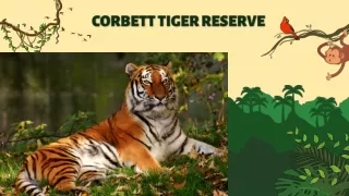 Corbett National Park Safari