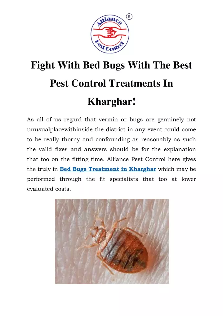 fight with bed bugs with the best