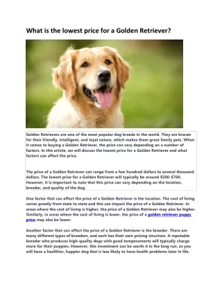what is the lowest price for a golden retriever