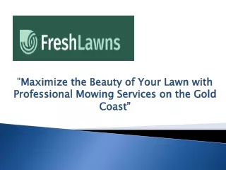 Maximize the Beauty of Your Lawn with Professional Mowing Services Gold Coast