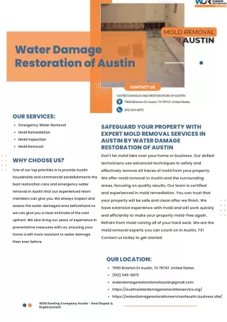 Safeguard Your Property with Expert Mold Removal Services in Austin by water dam