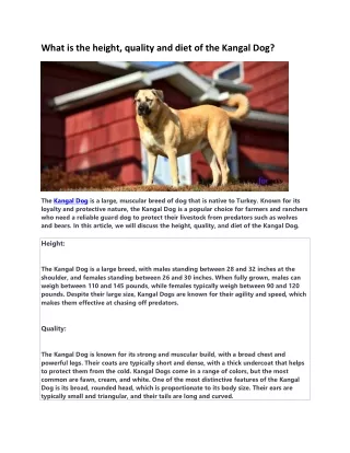 what is the height quality and diet of the kangal