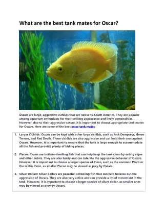 what are the best tank mates for oscar