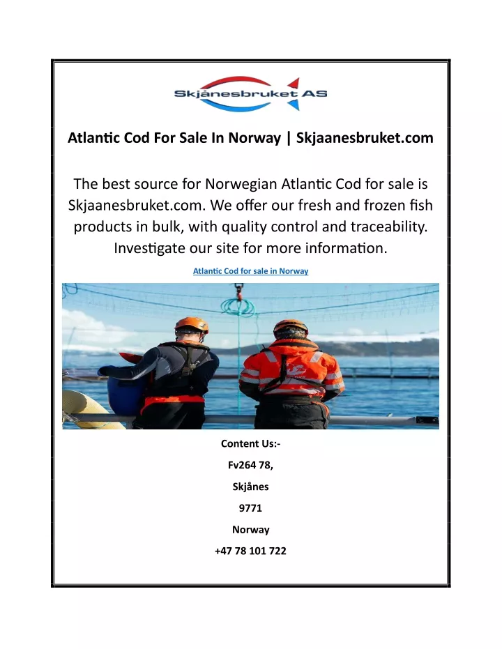 atlantic cod for sale in norway skjaanesbruket com