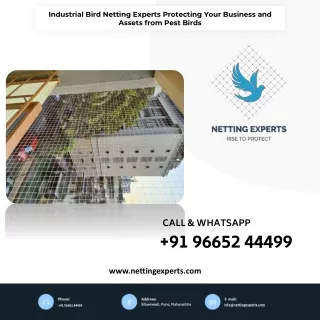 industrial bird netting experts protecting your