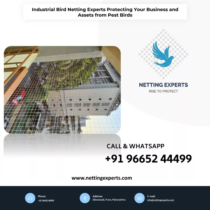 industrial bird netting experts protecting your