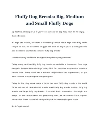 Fluffy Dog Breeds: Big, Medium and Small Fluffy Dogs