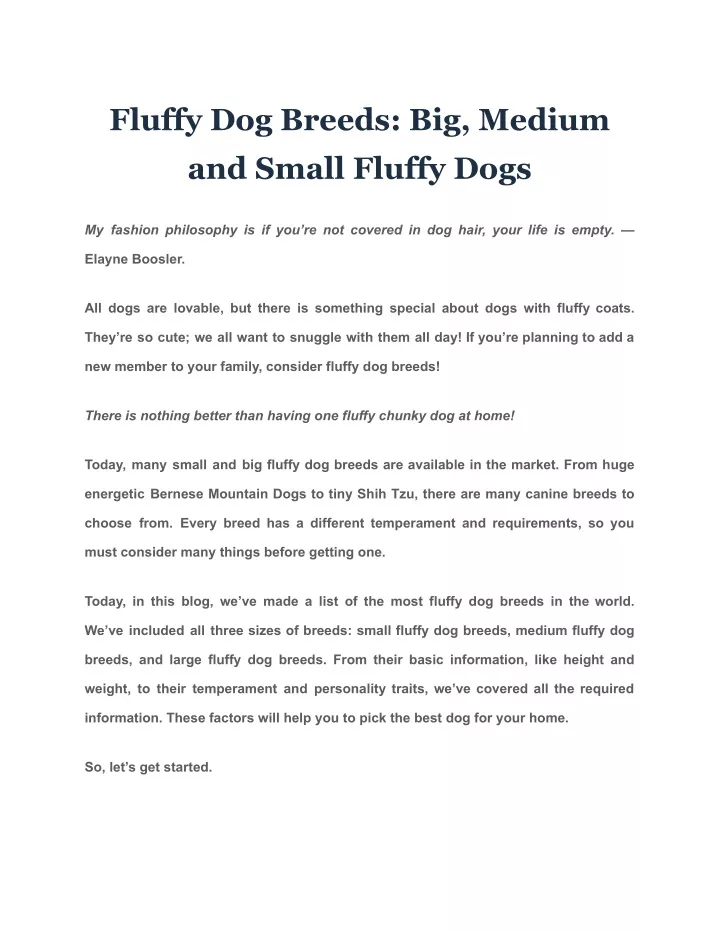 fluffy dog breeds big medium and small fluffy dogs
