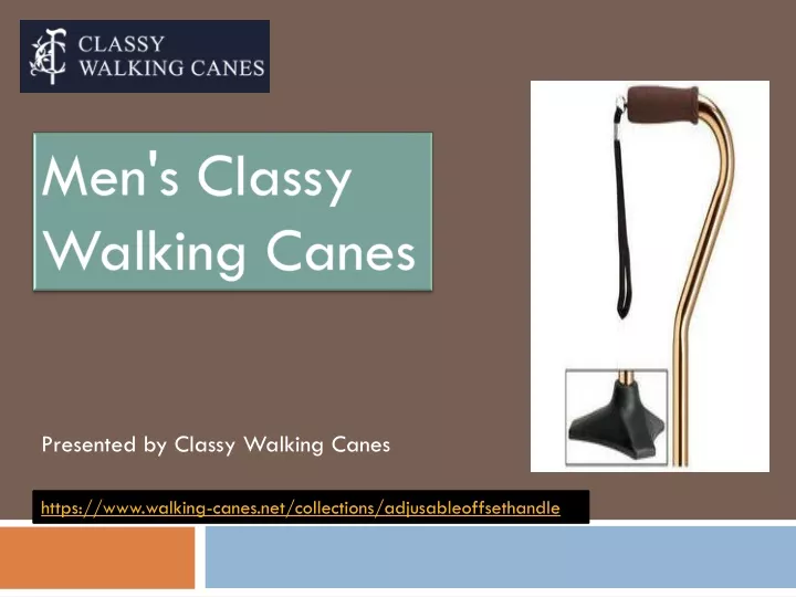 men s classy walking canes
