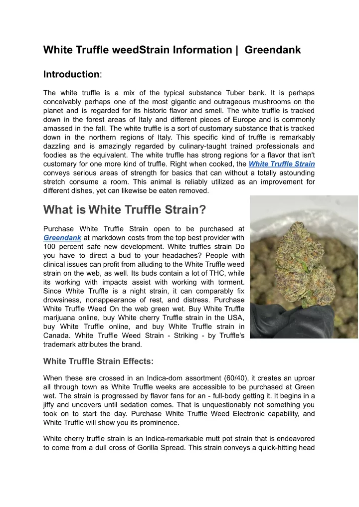 white truffle weedstrain information greendank