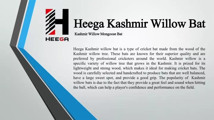 heega kashmir willow bat