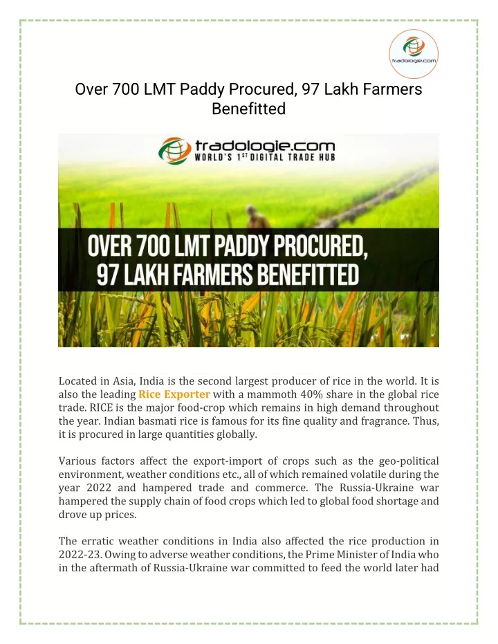 over 700 lmt paddy procured 97 lakh farmers