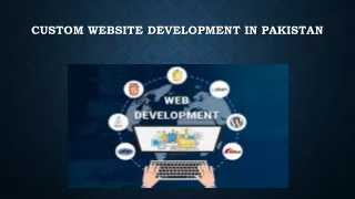 Custom Website Development in Pakistan
