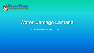 Water Damage Lantana