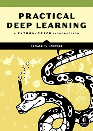 practical deep learning a python based
