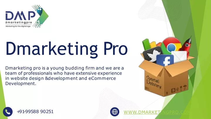 dmarketing pro