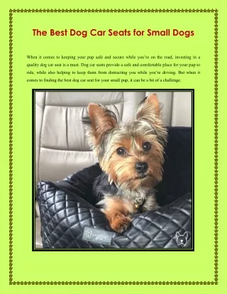 The Best Dog Car Seats for Small Dogs