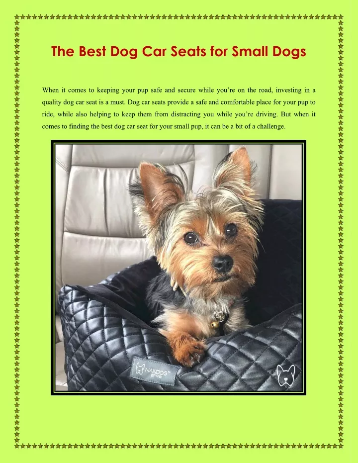 the best dog car seats for small dogs