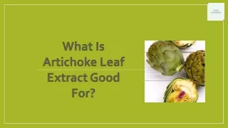 what is artichoke leaf extract good for