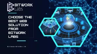 Utmost Solution at Affordable Rate from Bitwork Labs
