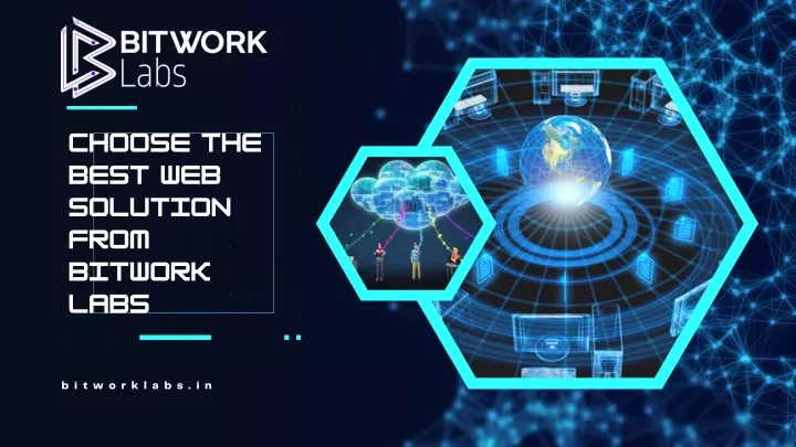 choose the best web solution from bitwork labs