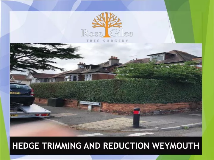hedge trimming and reduction weymouth