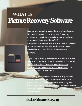 Understanding Digital Picture Recovery Software