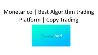 Monetarico - Best Algorithm trading Platform, Copy Trading
