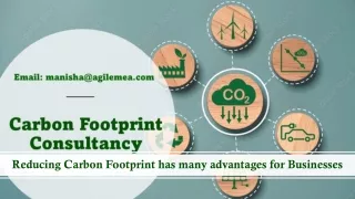 reducing carbon footprint has many advantages for businesses