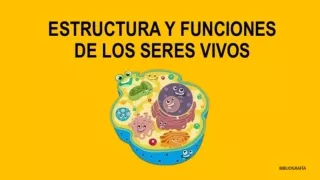 La Célula 2