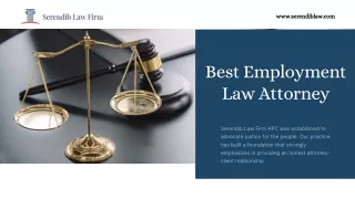 Best Employment Law Attorney | Serendib Law Firm APC