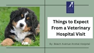 Things to Expect From a Veterinary Hospital Visit