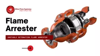 Flame Arrester - Bliss Flow Systems