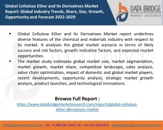 Cellulose Ether and Its Derivatives Market Demand, Industry Key Players