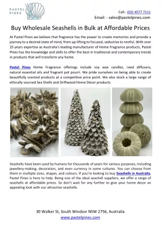 Buy Wholesale Seashells in Bulk at Affordable Prices
