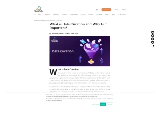 What is Data Curation and Why Is it Important?